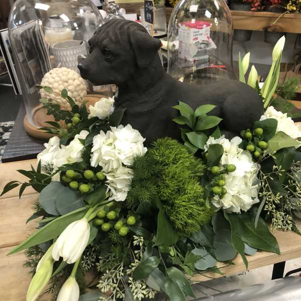 Black dog statue surrounded by white flowers and greenery on a wooden table