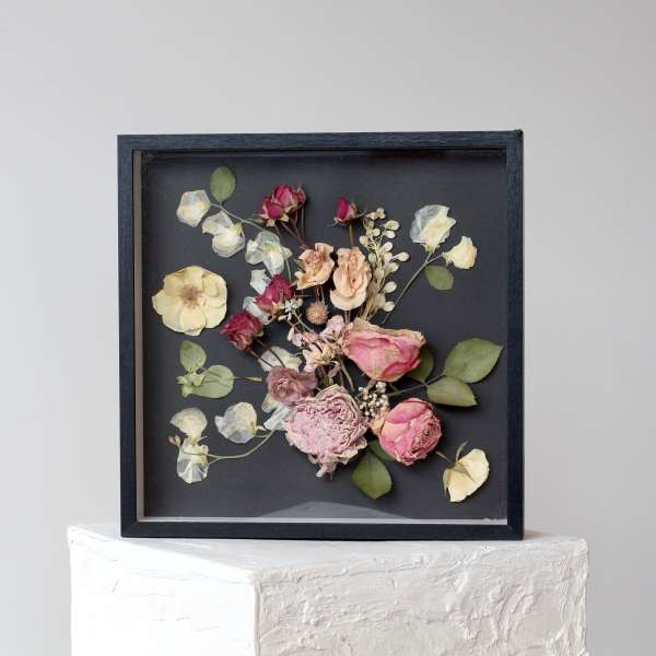 Framed arrangement of dried pink and cream roses on a black background