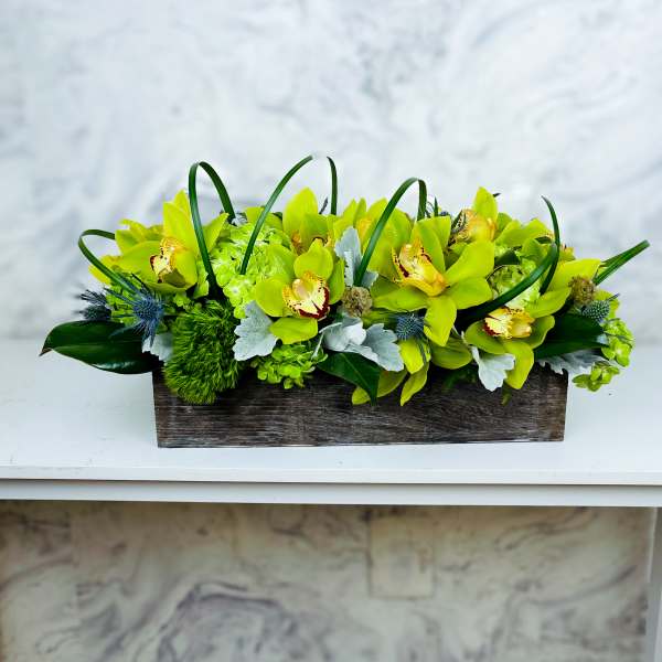Rectangular arrangement of lime-green orchids in a wooden box