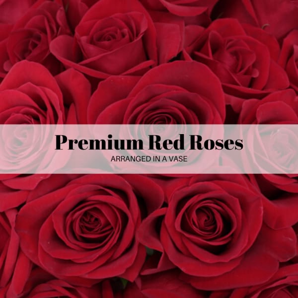 Long Stem Premium Red Roses Vased