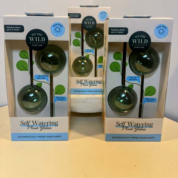 Three boxed self-watering plant globes on a table