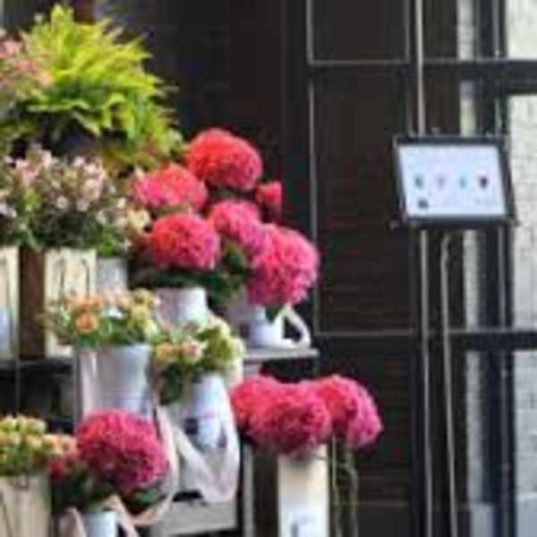 Display of colorful flower bouquets in buckets outside a shop