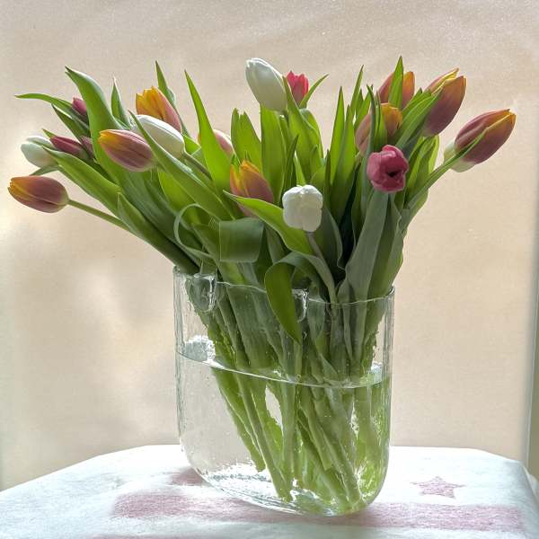 Bouquet of pink, white, and orange tulips in a clear glass vase