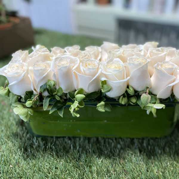 White roses arranged in a low green container