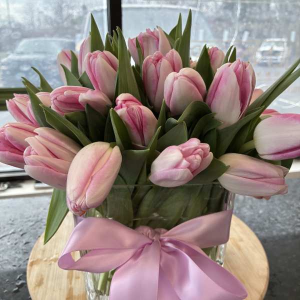 Dutch Pink Tulips