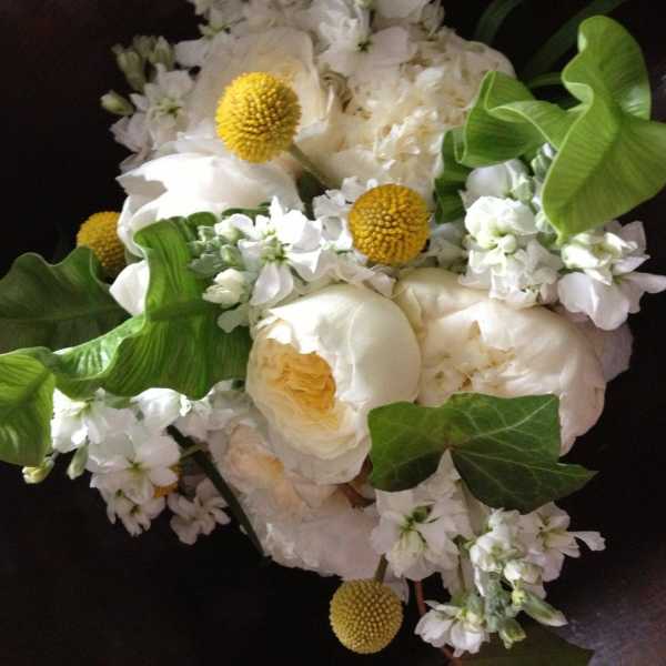 White bouquet with yellow button flowers and large green leaves