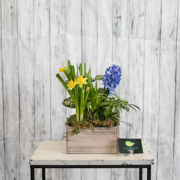 Small floral arrangement in a wooden box with yellow and blue blooms