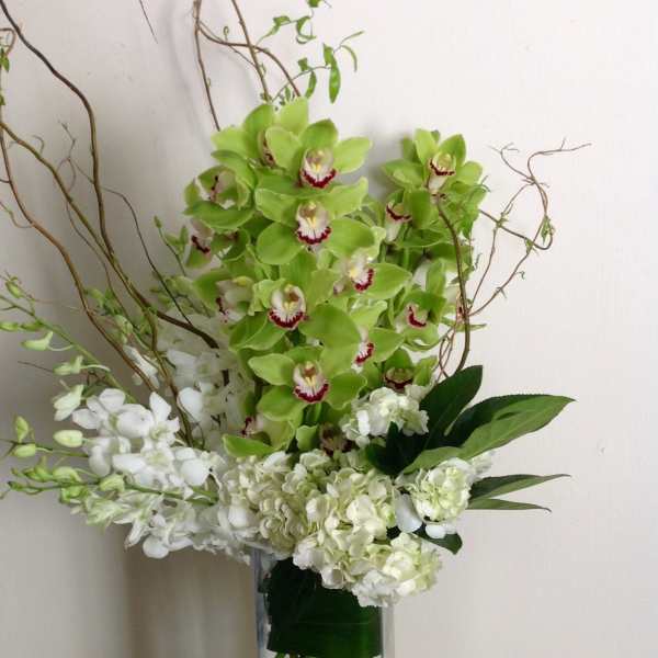Green and white orchid arrangement in a tall glass vase