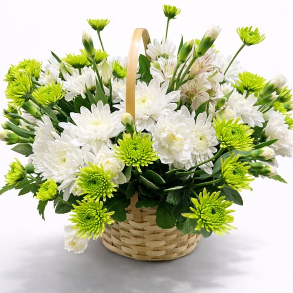 Basket of white and lime-green chrysanthemums with a handle