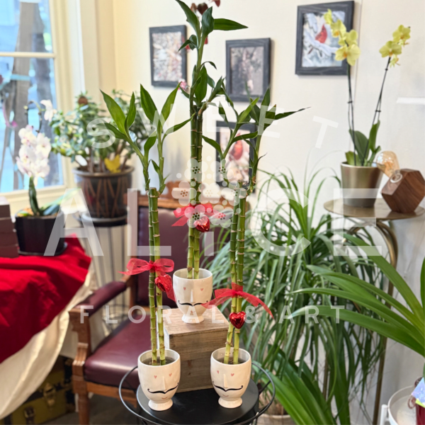 I Only Have Eyes For You