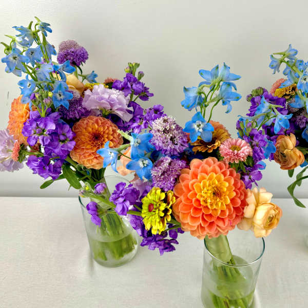 Three colorful mixed flower bouquets in clear glass vases