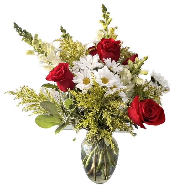 Dazzling white daisies