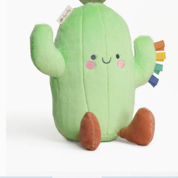 Plush green cactus toy with a smiling face and brown feet