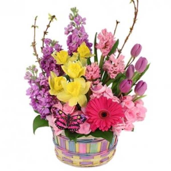 Colorful mixed flower basket with tulips, daisies, and gerbera daisy