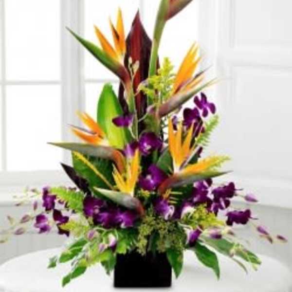 Tall tropical flower arrangement with orange bird-of-paradise and purple orchids in a black vase