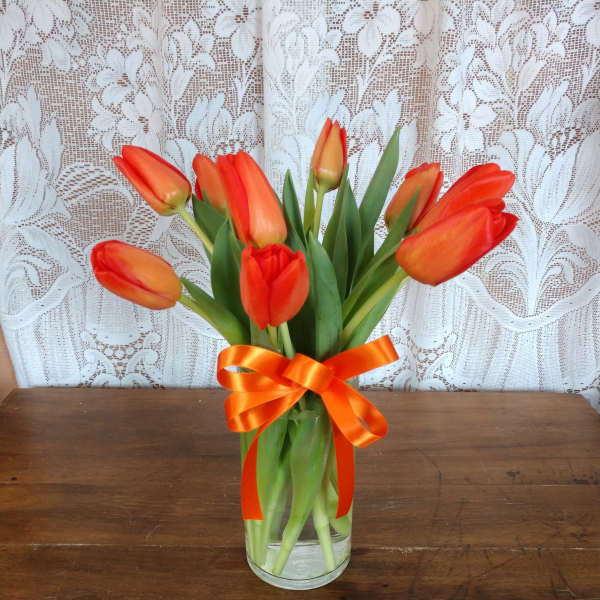 Bold Orange Tulips