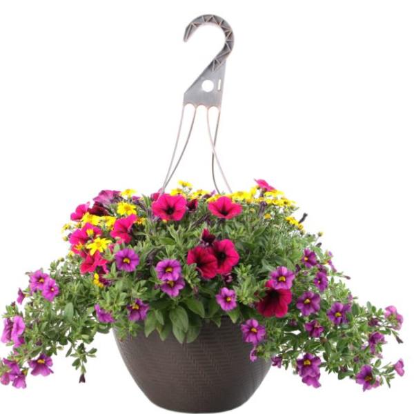 Hanging basket of pink, purple, and yellow flowers in a dark planter