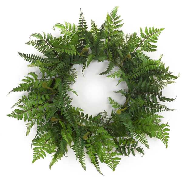 Green fern wreath on a white background