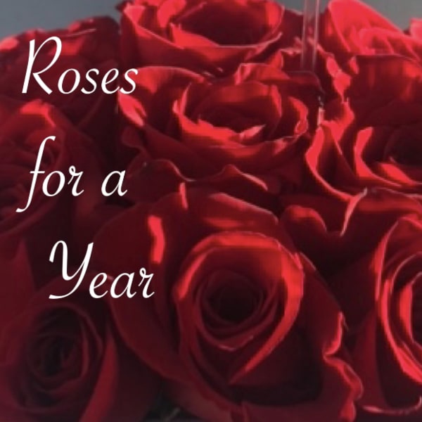 Close-up of red roses with the words "Roses for a Year" overlaid