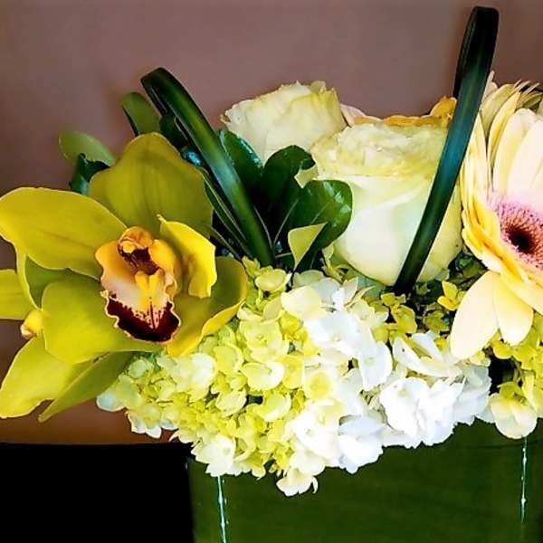 Low yellow and white bouquet with orchid, hydrangea, roses, and gerbera daisy in a green rectangular vase