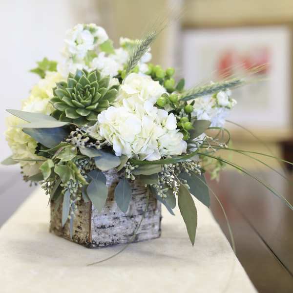 White floral arrangement in a birch bark container with green succulents