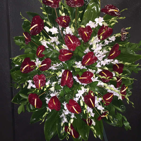 Red Anthurium and White Orchid Spray Wreath - F175W02