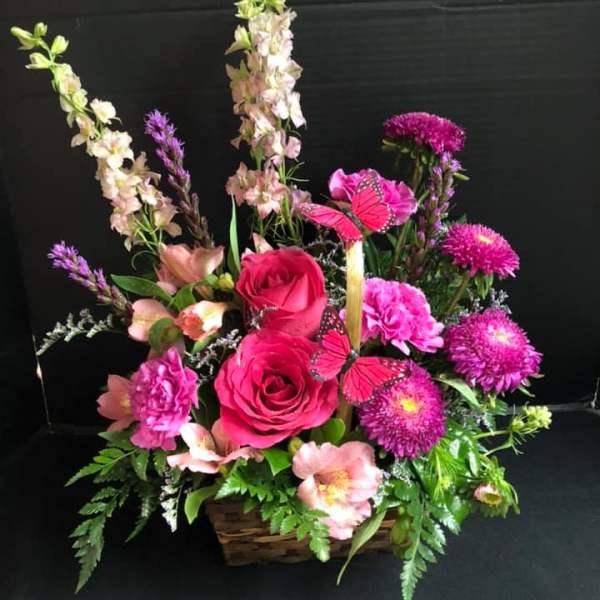 Blooms and Butterflies