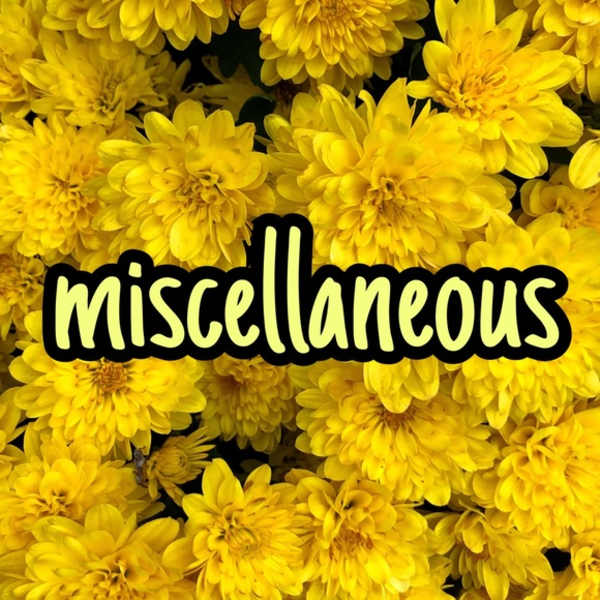 Yellow chrysanthemum blooms with the word miscellaneous overlaid.