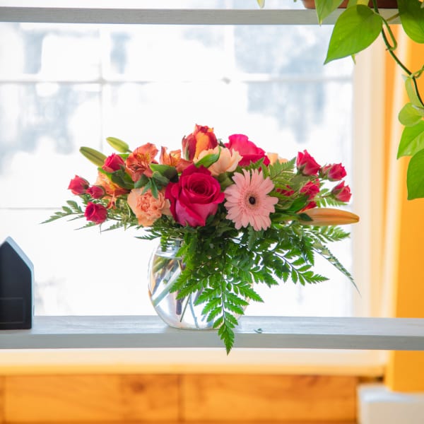 The Fishbowl of Beauty - BBC