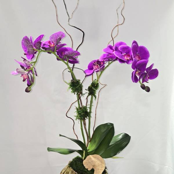 Purple orchids in a gold textured vase with curly branches