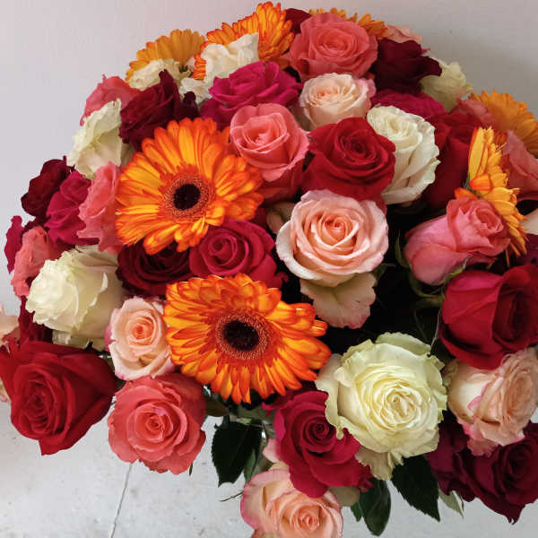 Bouquet of red, pink, and cream roses with orange gerbera daisies