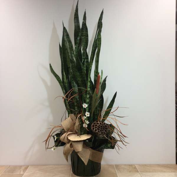 Tall snake plant arrangement in a dark pot with burlap ribbon and small white accents