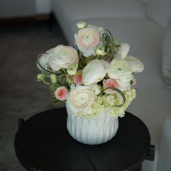 White and blush ranunculus arrangement in a white vase