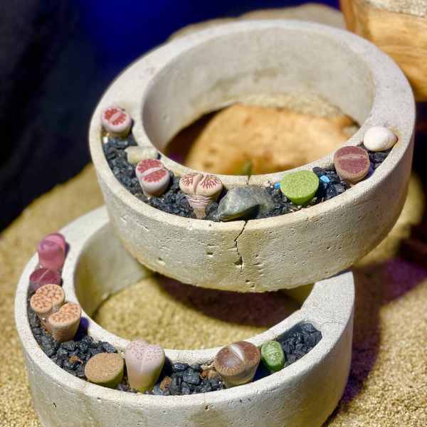 Stacked concrete ring planters filled with small multicolored succulent stones on black gravel.