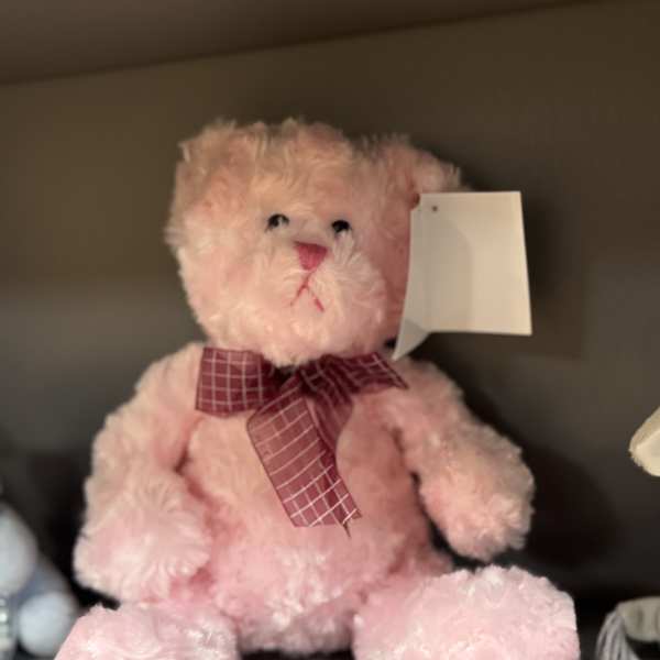 Pink teddy bear with a plaid bow and hanging tag