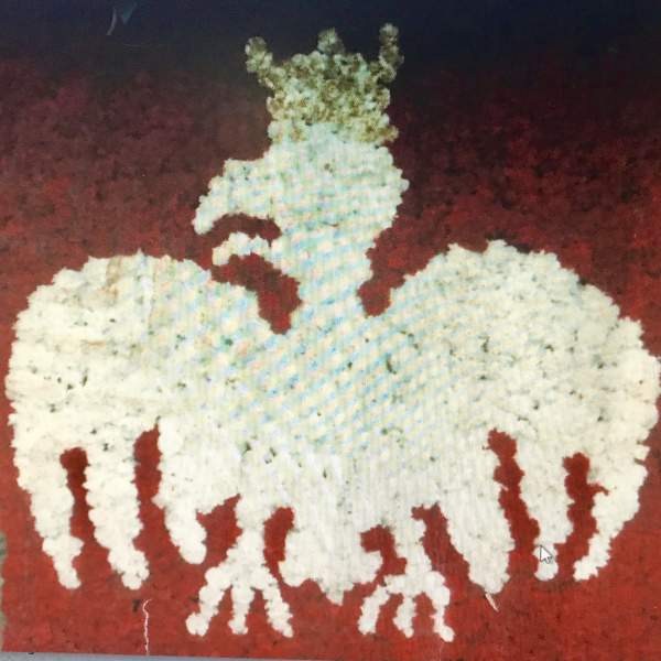 White floral arrangement shaped like a horse on a red background