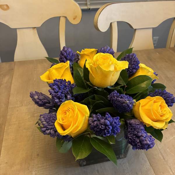 Jeanne- here comes the Sun