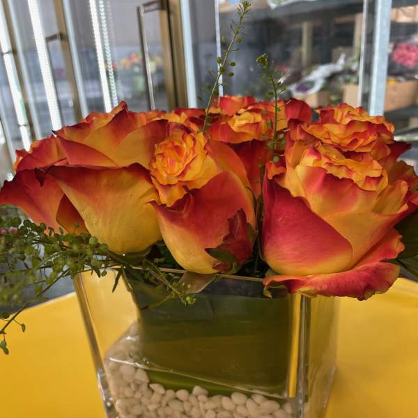 Orange and red roses arranged in a square glass vase