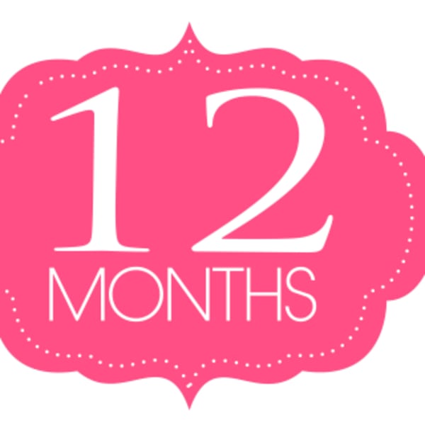 Pink badge with the words 12 months