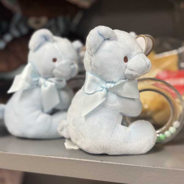 Two light blue teddy bears with ribbons on a shelf