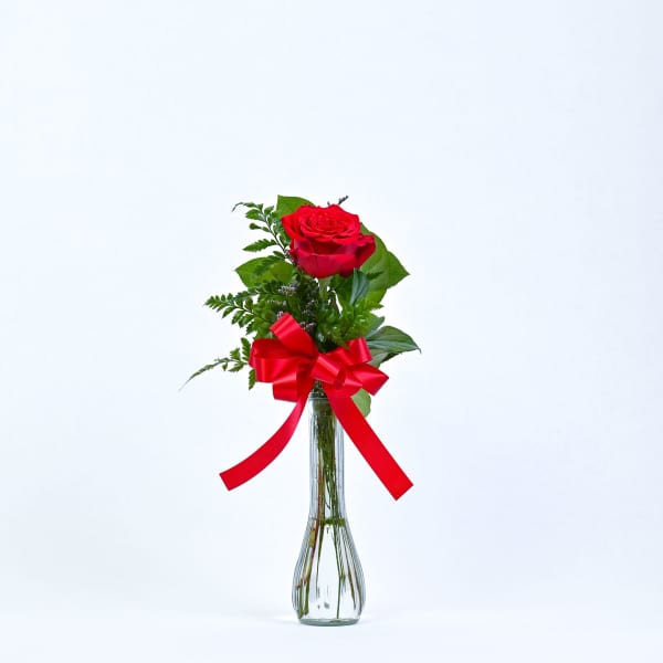 Single red rose in a clear glass vase with a red ribbon