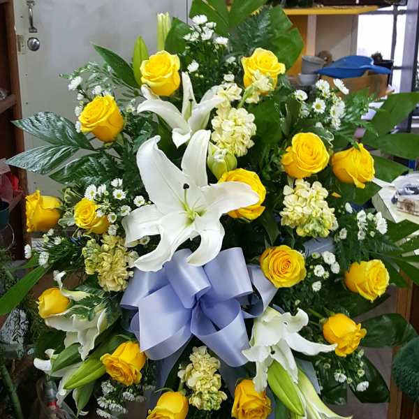 Circle Journey Easel Spray