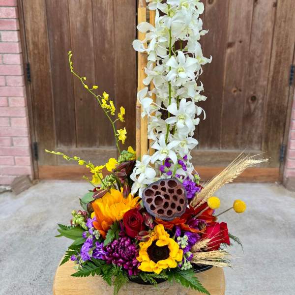 Fall colors Zen Artistry