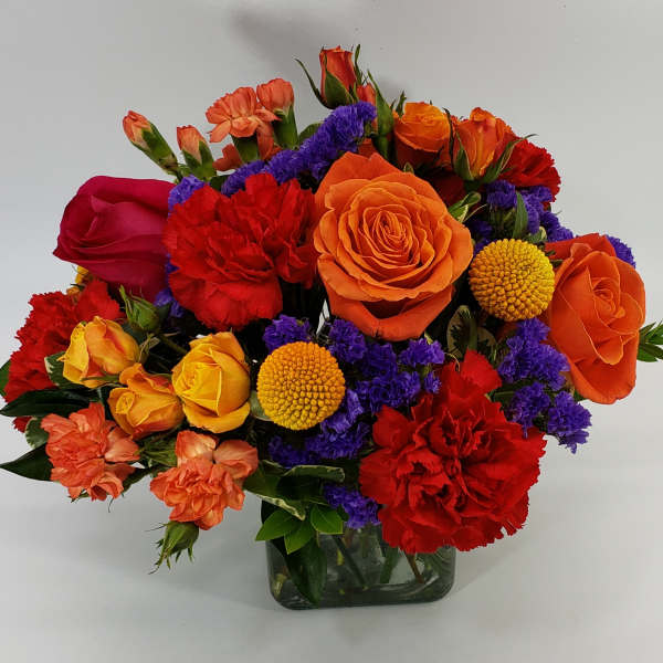 Orange Sunshine Tangerine