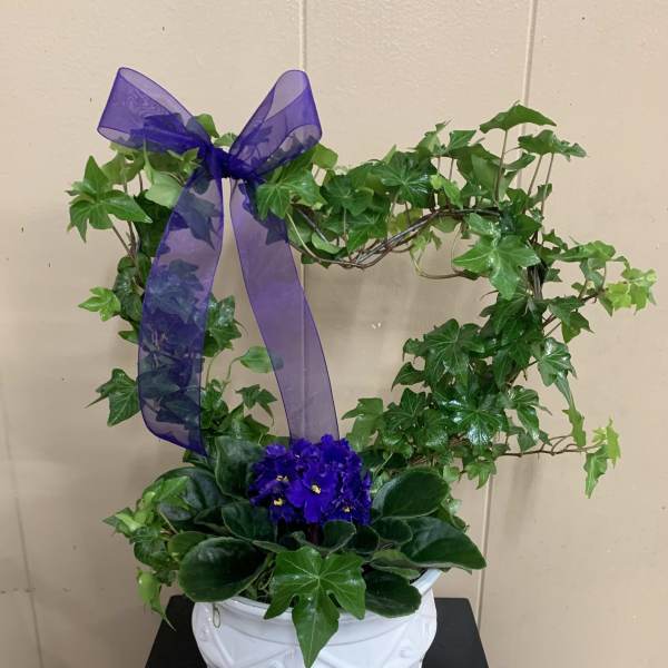 Heart Ivy Topiary