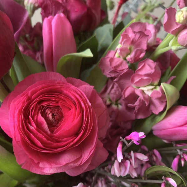 Pink tulips and ranunculus in a close-up bouquet