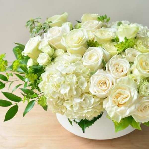 White roses and hydrangeas arranged in a low white vase