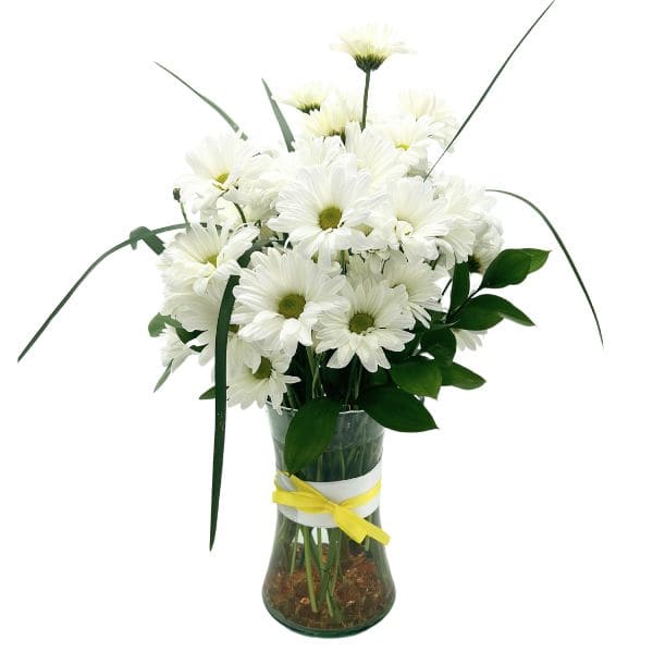 White daisy bouquet in a clear glass vase with a yellow ribbon