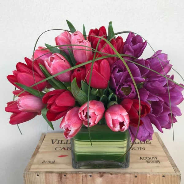 Bouquet of pink, red, and purple tulips in a square glass vase