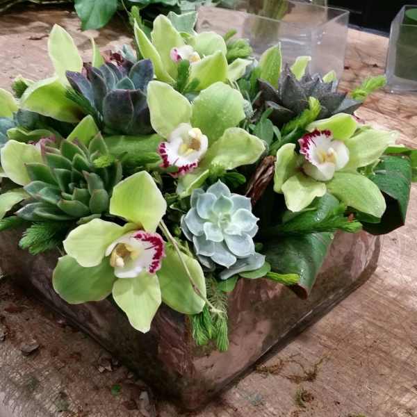 Succulent Rustic Garden